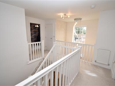 Picture 16